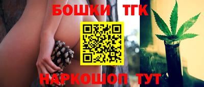 гашик Славгород