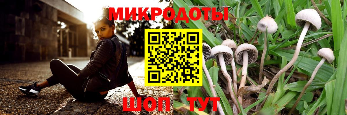 Псилоцибиновые грибы GOLDEN TEACHER  Галлюциногенные грибы Magic Shrooms  Сатка  продажа наркотиков  Вход с VPN 